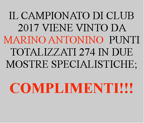 Casella di testo:  IL CAMPIONATO DI CLUB 2017 VIENE VINTO DA MARINO ANTONINO  PUNTI TOTALIZZATI 274 IN DUE MOSTRE SPECIALISTICHE;COMPLIMENTI!!!